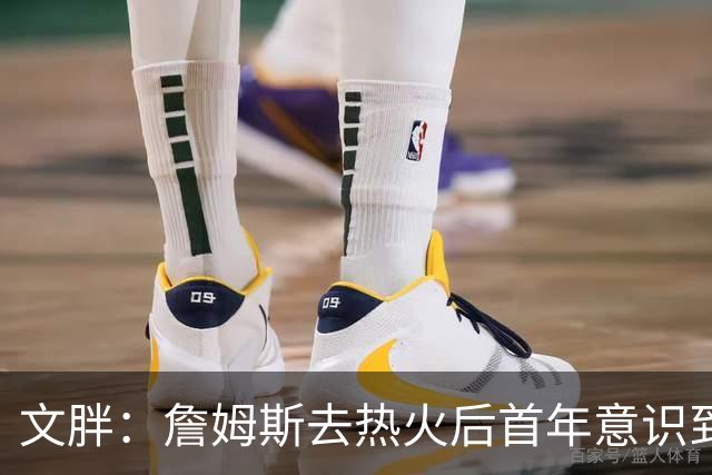 文胖：詹姆斯去热火后首年意识到很多球迷站在了他的对立面